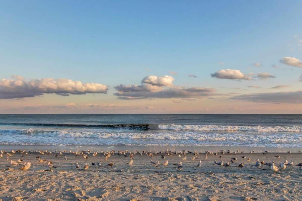 *Oceanfront Sun & Fun*Queen Beds*Pools*Hot Tubs*More*B118 Myrtle Beach Eksteriør billede